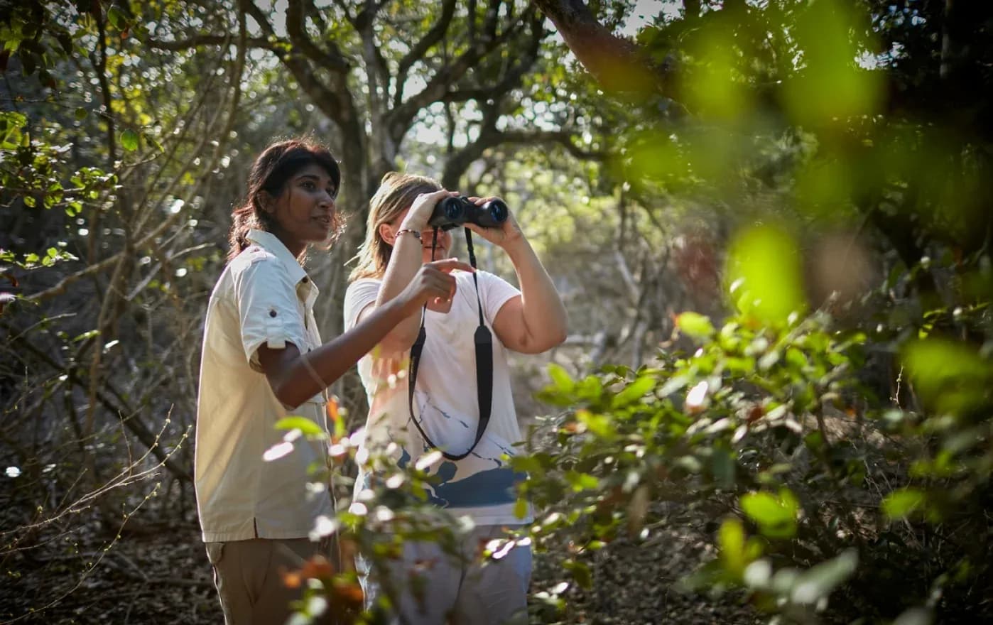 A naturalist guiding a guest in wildlife observation with binoculars