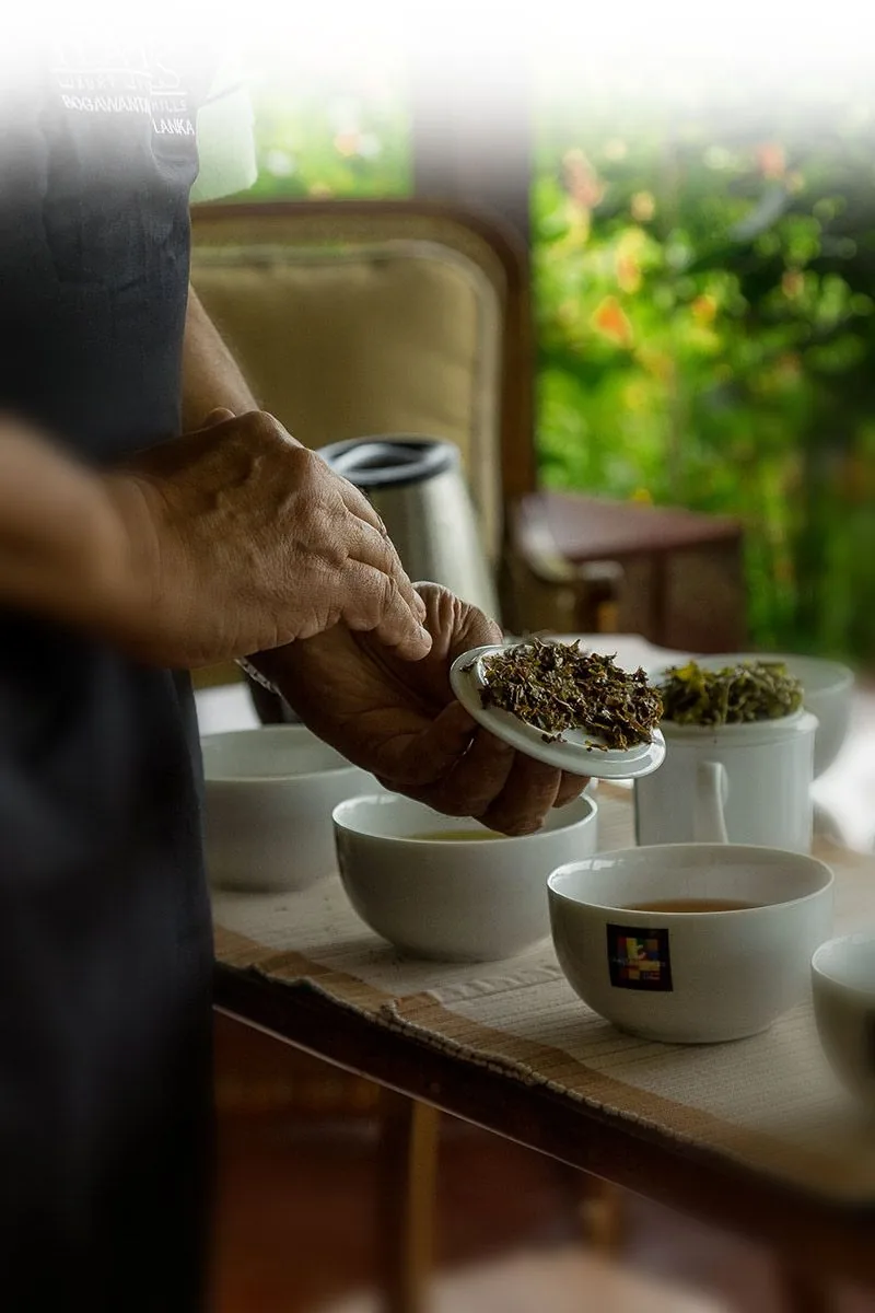 A tea tasting experience in Sri Lanka
