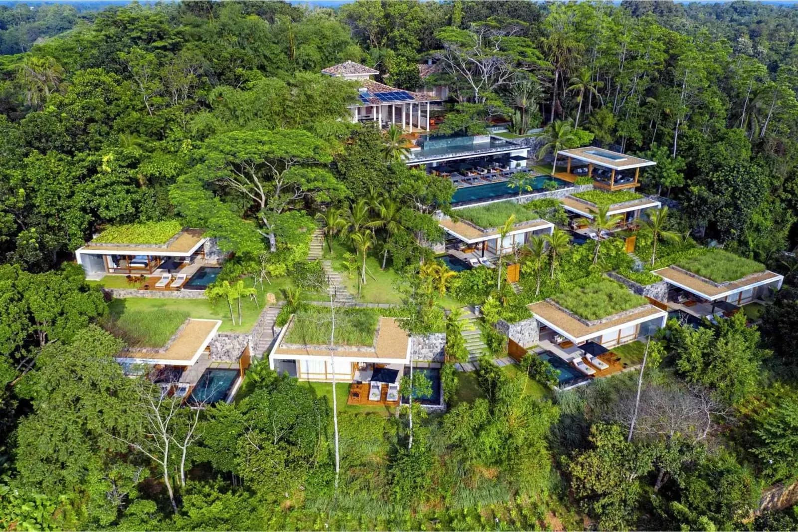 Aerial view of Haritha Villas + Spa surrounded by tropical forest in Hikkaduwa
