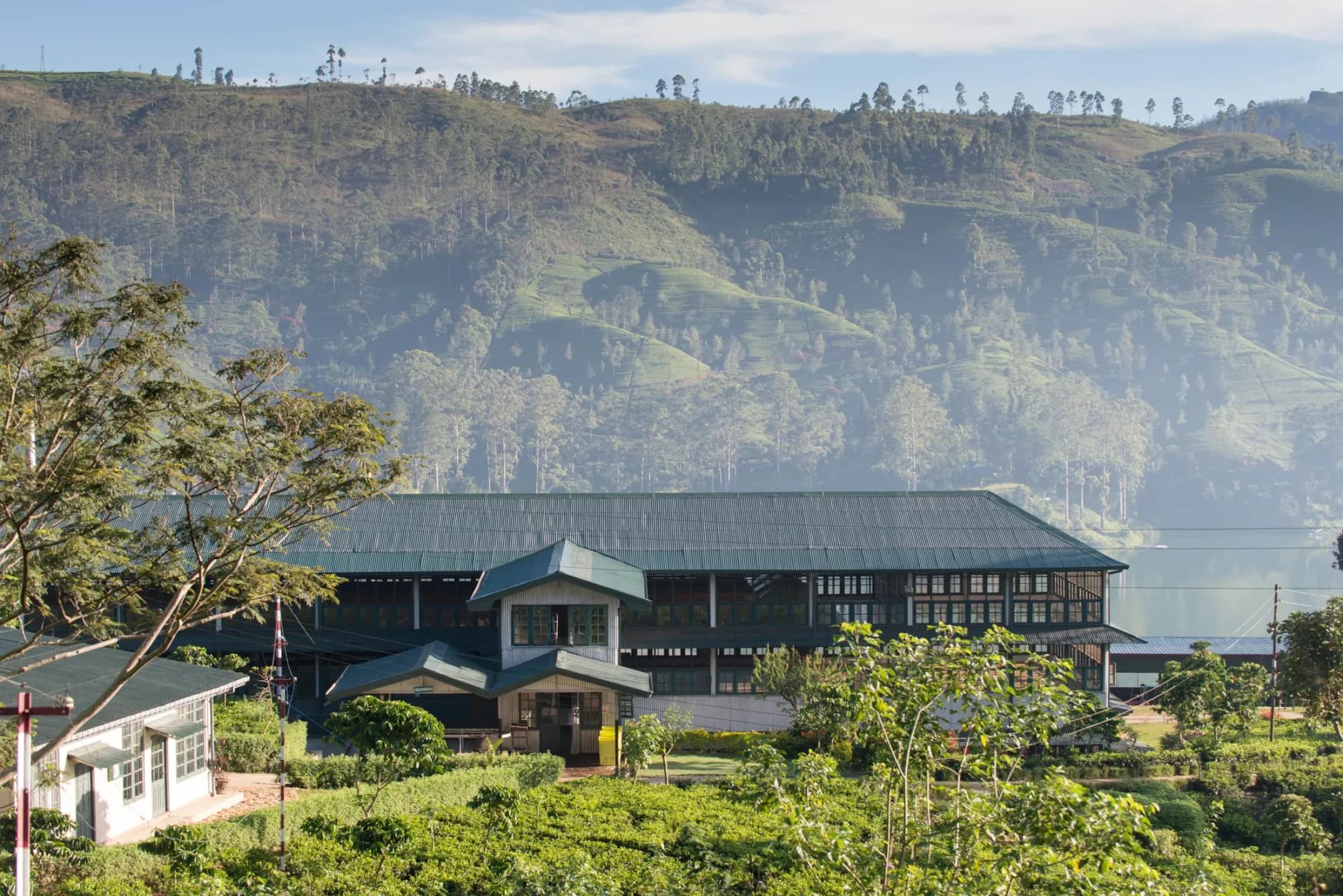 Dunkeld Tea Factory surrounded by tea-covered hills